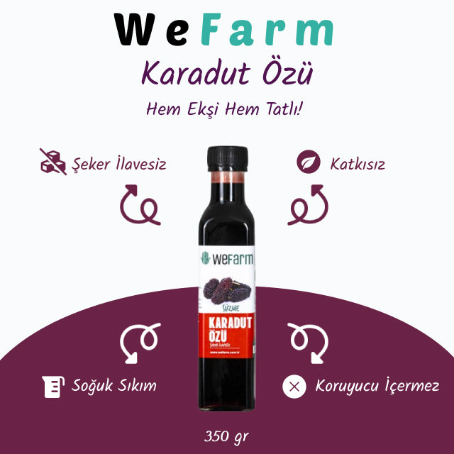 WeFarm Karadut Ozu 350 gr