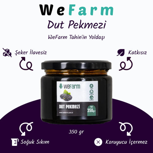 WeFarm Dut Pekmezi (Soğuk Sıkım) 350 gr